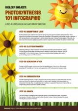 Biology Subject: Photosynthesis 101 Lesson Summary