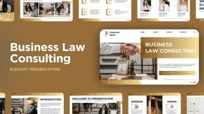 Modern Business Law Consulting