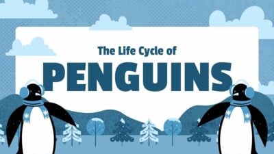 Cute Life Cycle of Penguin Lesson Slides