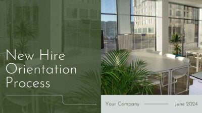 Elegant New Hire Orientation Process Slides