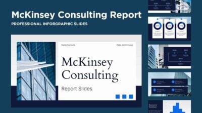 Professional McKinsey Consulting Report Slides