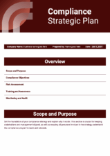 Professional Compliance Strategic Plan