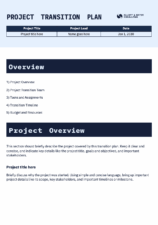 Professional Project Transition Plan