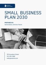 Professional Small Business Plan