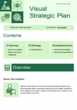 Professional Visual Strategic Plan