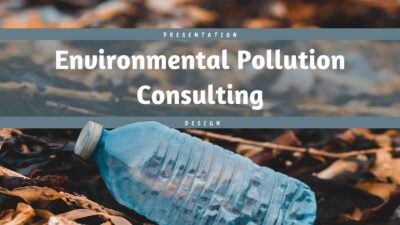 Simple Environmental Pollution Consulting Slides