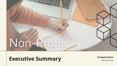 Simple Non Profit Executive Summary Slides