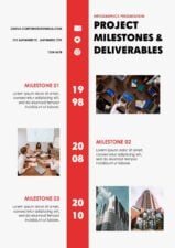 Simple Project Milestones And Deliverables Infographics