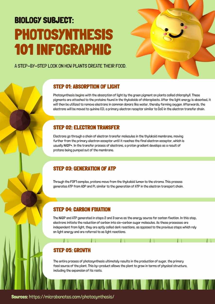 Biology Subject: Photosynthesis 101 Lesson Summary Preview