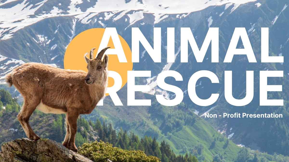 Simple Animal Rescue Slides Preview