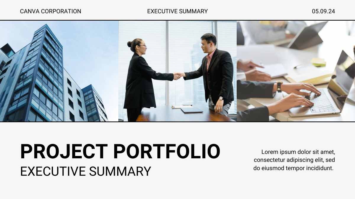 Clean Minimal Project Portfolio Executive Summary Slides Preview