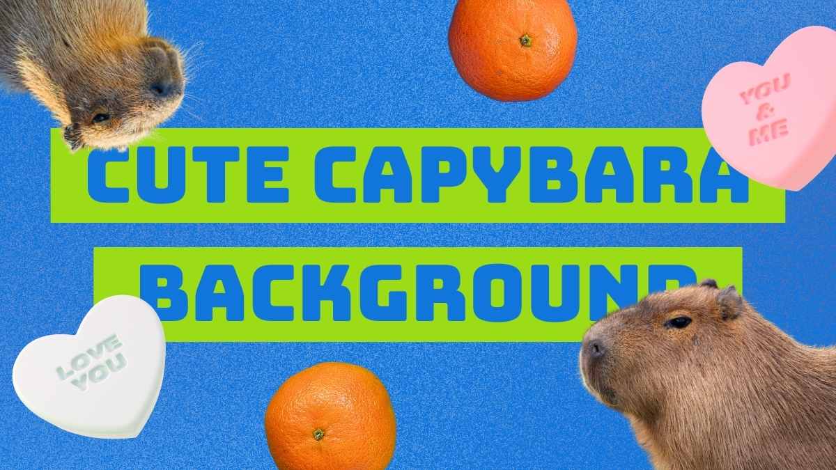 Collage Cute Capybara Background Slides Preview