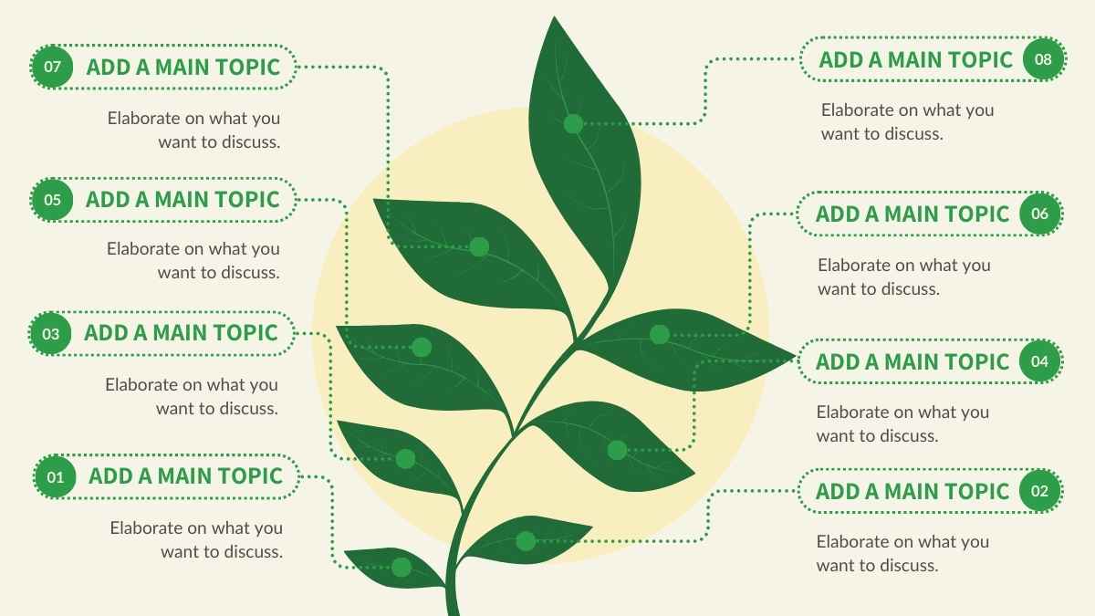 Cute Leaf Growth Process Diagram Preview