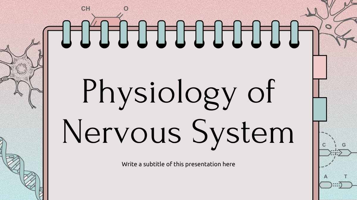Cute Modern Physiology of Nervous System Slides Preview
