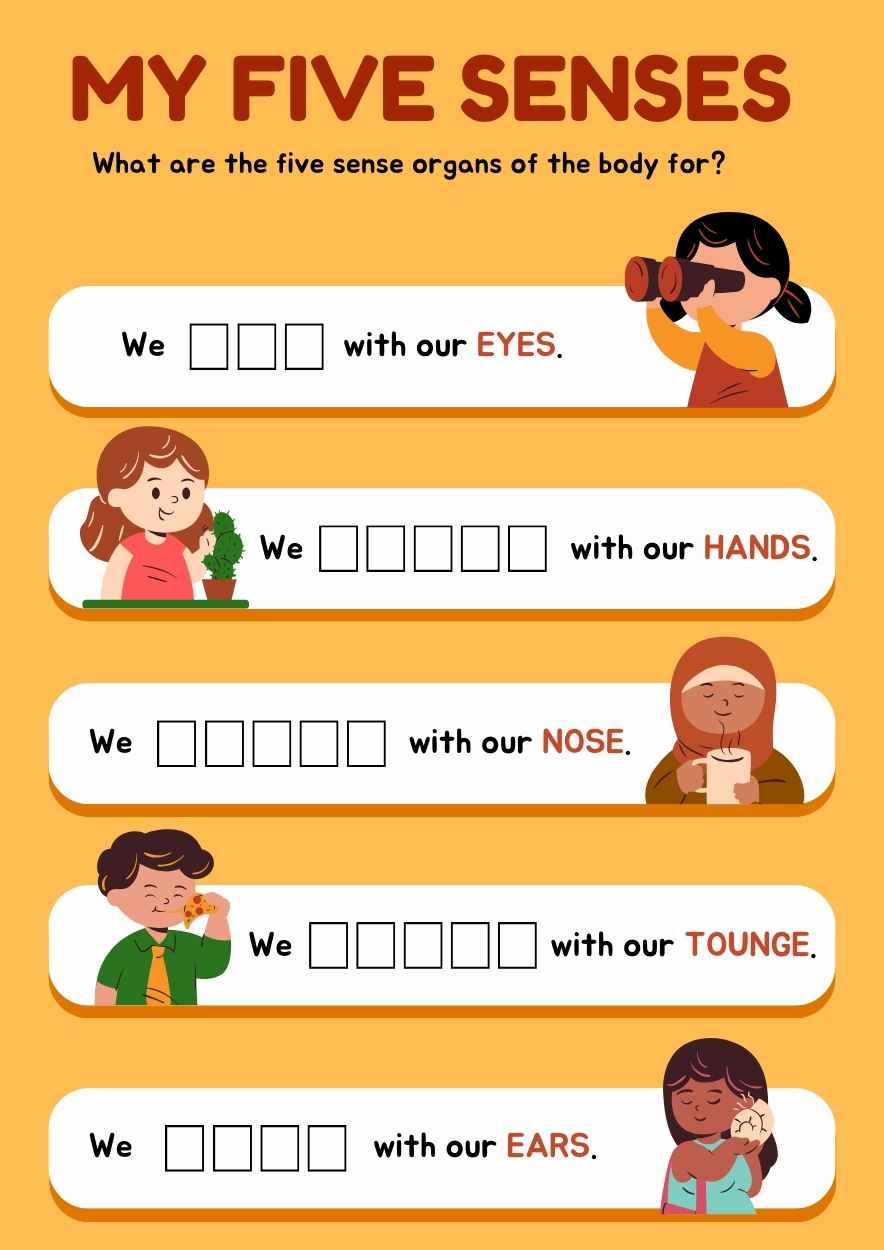 Cute The Five Senses Worksheet Preview