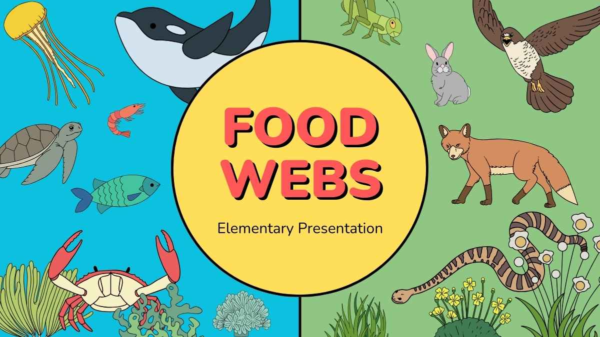 Food Webs Lesson for Elementary Preview