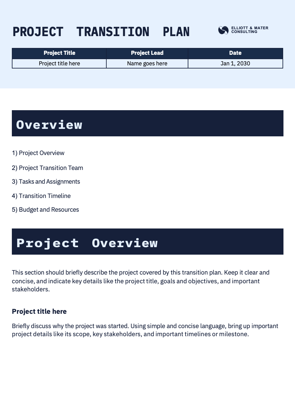 Professional Project Transition Plan Preview