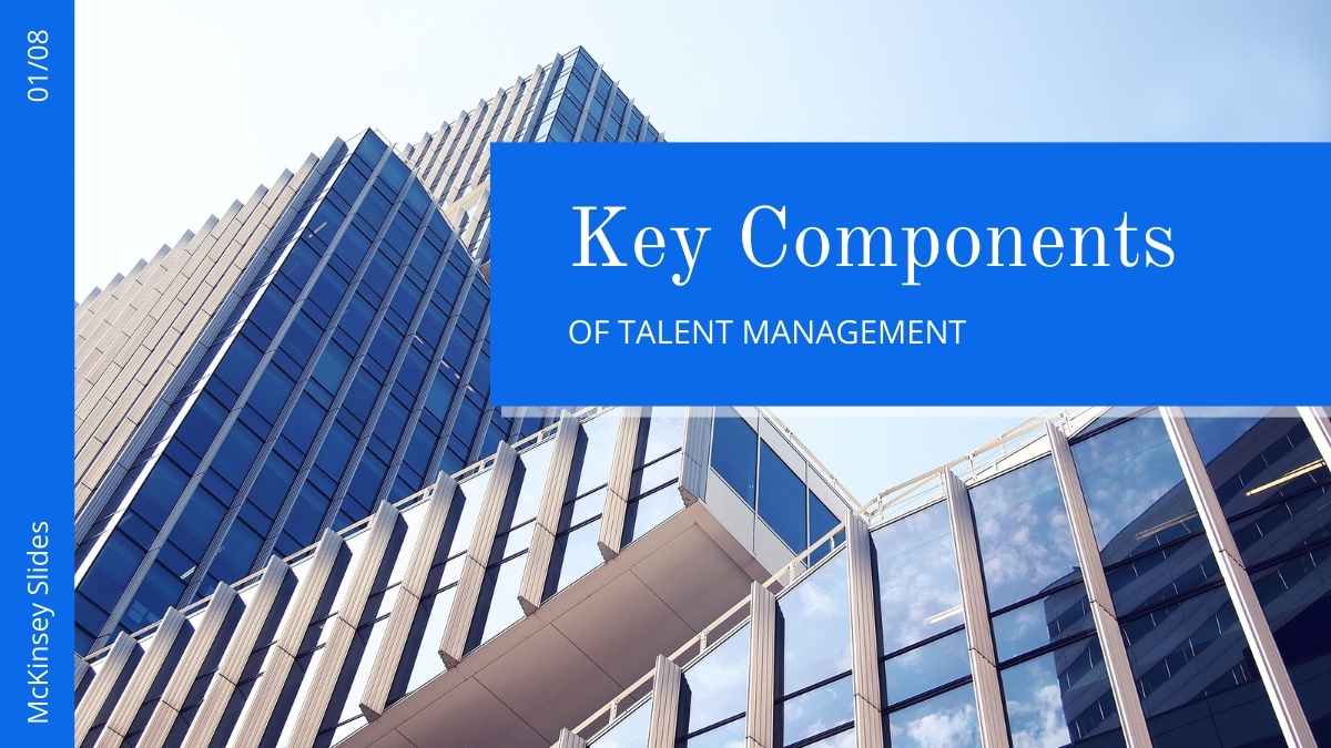 Professional Talent Management McKinsey Slides Preview