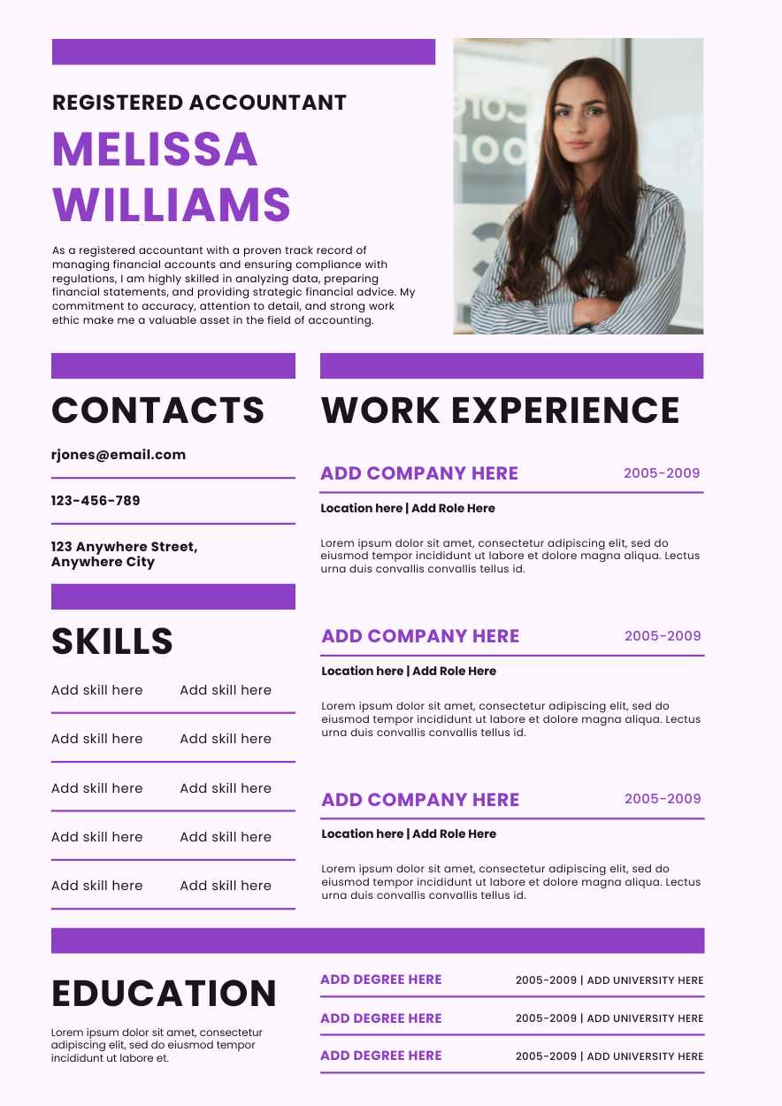 Simple Accountant CV Resume Preview