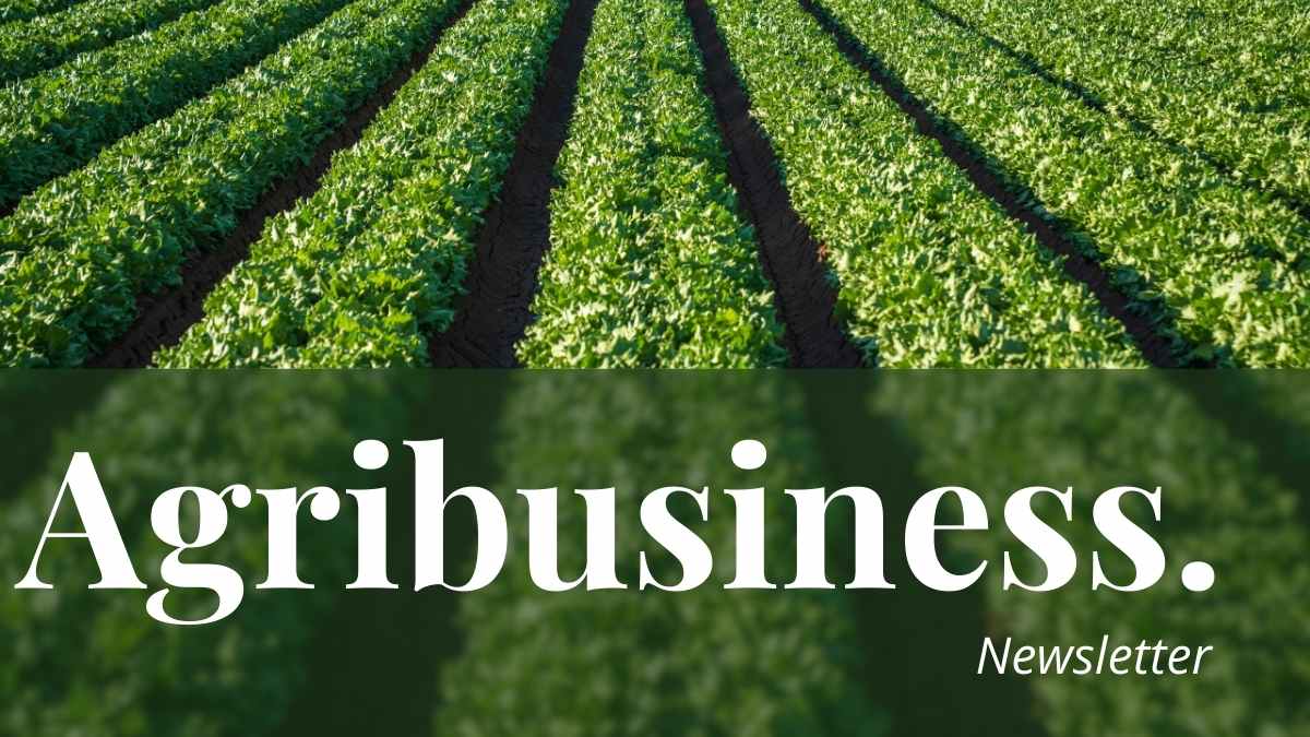 Simple Agribusiness Newsletter Slides Preview