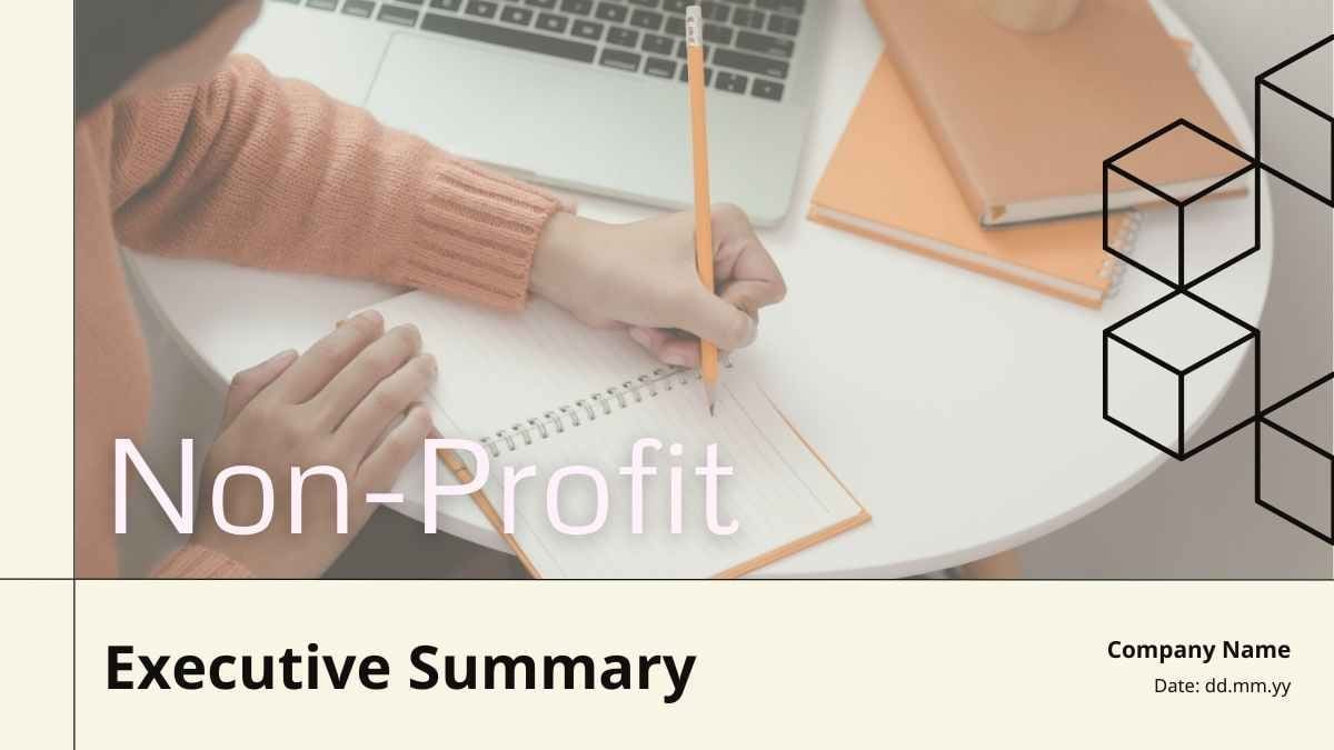 Simple Non Profit Executive Summary Slides Preview