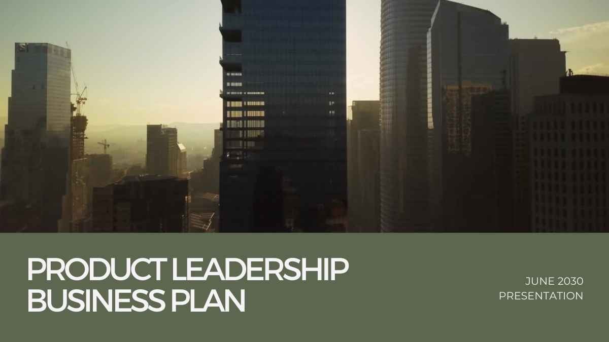 Simple Product Leadership Business Plan Preview